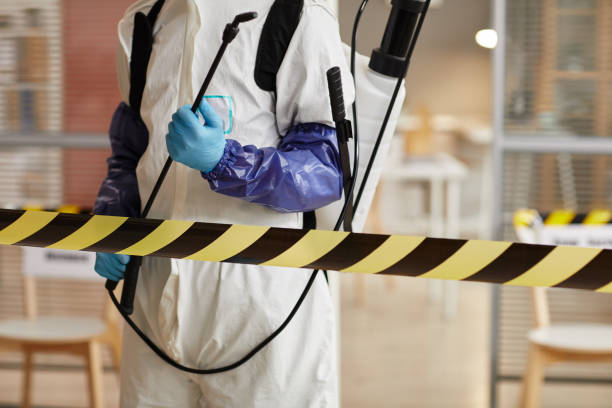 Professional Sewage Cleanup technician working in Silver City, NV